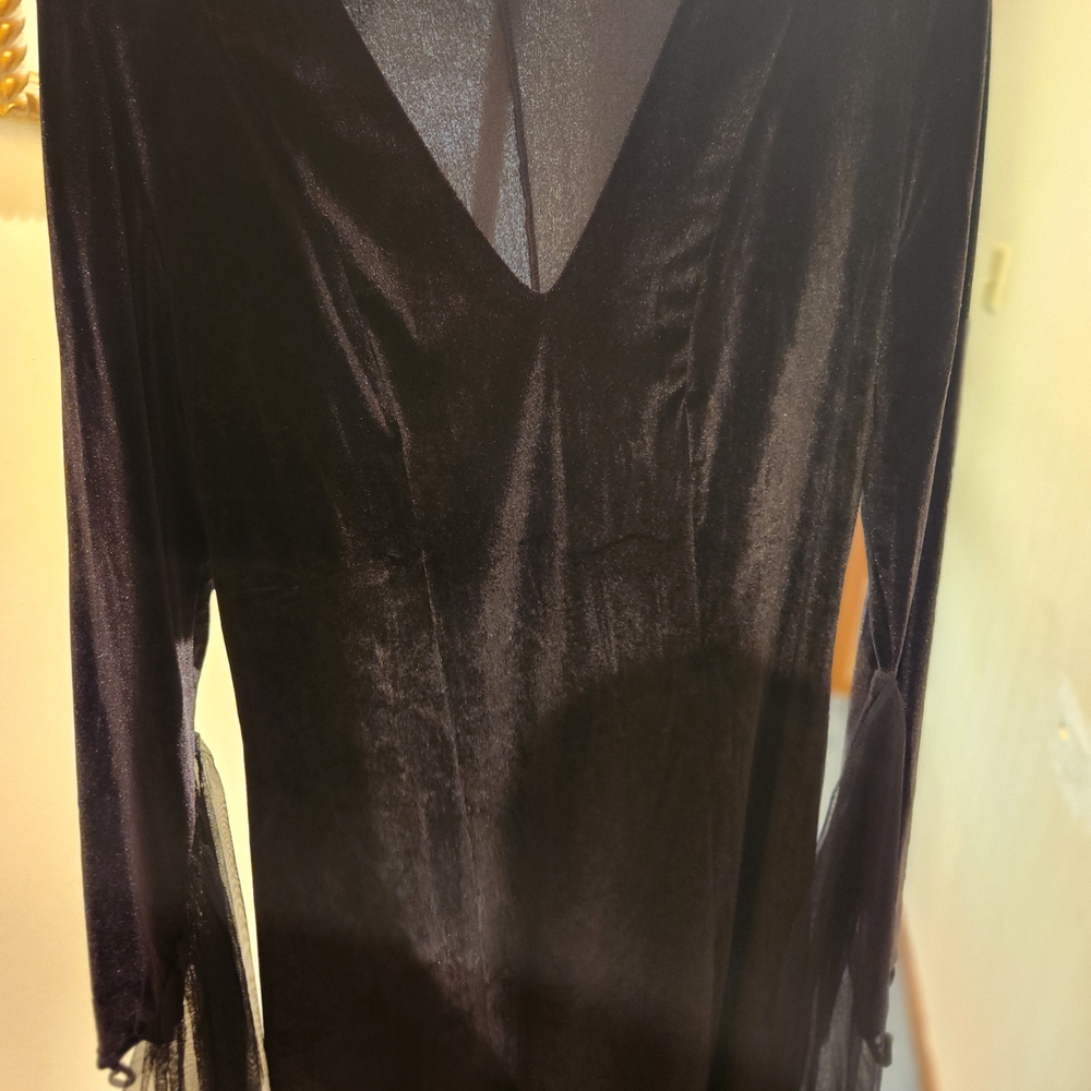 Chic Black Velvet Long Sleeve Morticia Addams Costume.